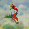 Lorikeets Birds Diamond Painting