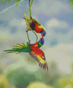 Lorikeets Birds Diamond Painting