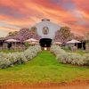 Lowe Family Wine Co Mudgee Sunset Diamond Paintings