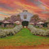 Lowe Family Wine Co Mudgee Sunset Diamond Paintings