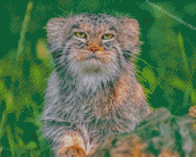 Manul Animal Diamond Paintings