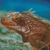 Marine Iguana Diamond Paintings