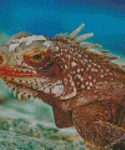 Marine Iguana Diamond Paintings