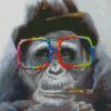 Monkey Wearing Glasses Diamond Paintings