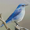 Mountain Blue Bird Illustration Diamond Painting