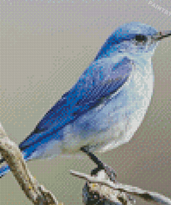 Mountain Blue Bird Illustration Diamond Painting