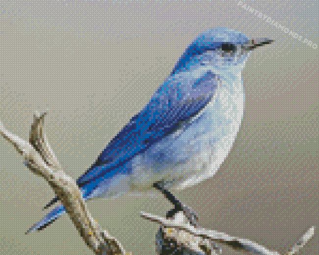 Mountain Blue Bird Illustration Diamond Painting