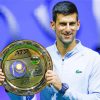 Novak Djokovic Diamond Paintings