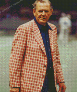 Old Paul Bear Bryant Diamond Painting