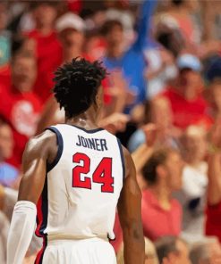 Ole Miss Basketball Player Back Diamond Paintings