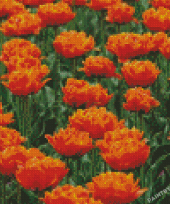 Orange Peony Tulip Flowers Diamond Painting