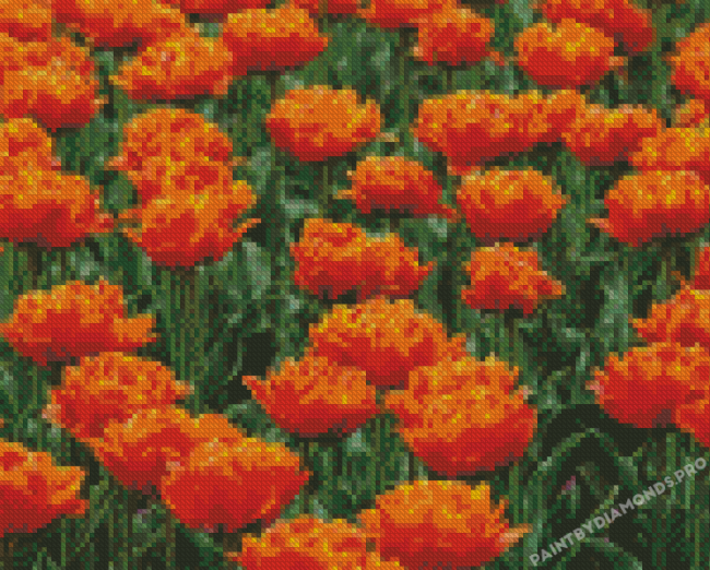 Orange Peony Tulip Flowers Diamond Painting