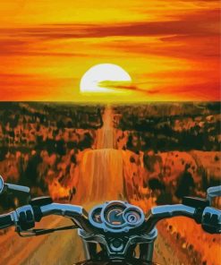 Orange Sunset Motorbike Driver Diamond Paintings