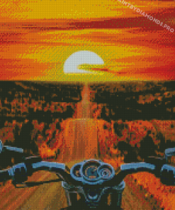 Orange Sunset Motorbike Driver Diamond Paintings