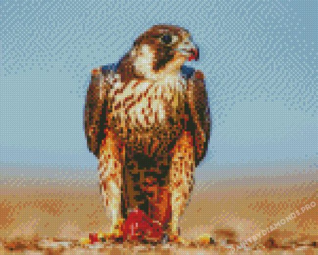 Peregrine Falcon Diamond Paintings