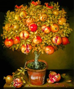 Potted Pomegranate Tree Diamond Paintings