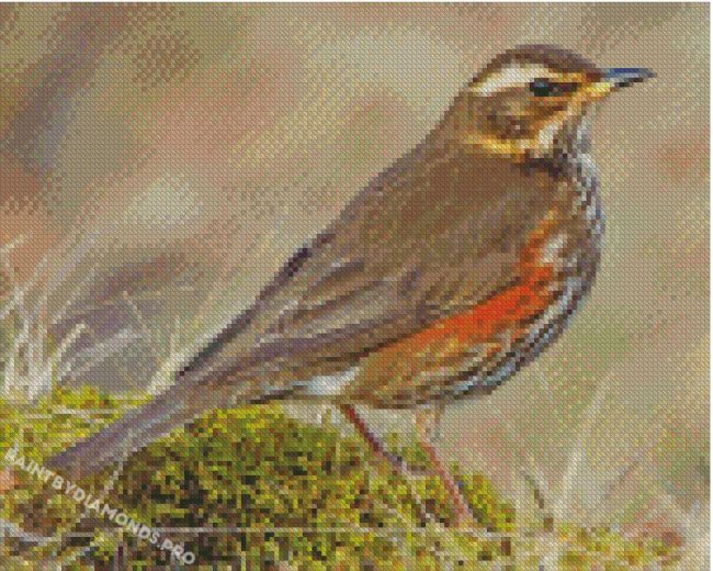 Redwing Bird Diamond Paintings