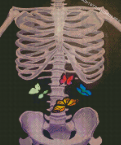 Skeleton With Butterflies Art Diamond Paintings