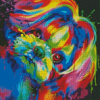 Splash Colorful Shih Tzu Diamond Painting