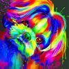 Splash Colorful Shih Tzu Diamond Painting