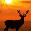 Sunrise Deer Animal Diamond Painting