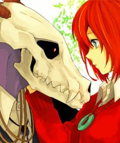 The Ancient Magus Bride Diamond Paintings