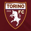 Torino FC Logo Diamond Paintings