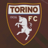 Torino FC Logo Diamond Paintings