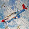 Tuskegee Airmen Planes Art Diamond Paintings