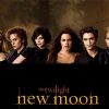 Twilight New Moon Film Diamond Painting