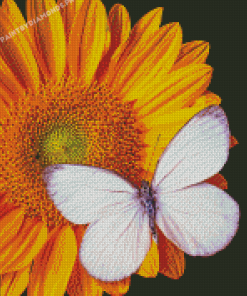 White Butterfly On Sunflower Diamond Painting