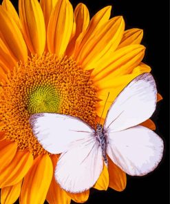 White Butterfly On Sunflower Diamond Painting