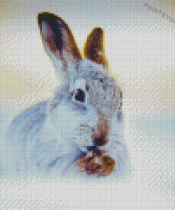 Winter Hare Diamond Paintings