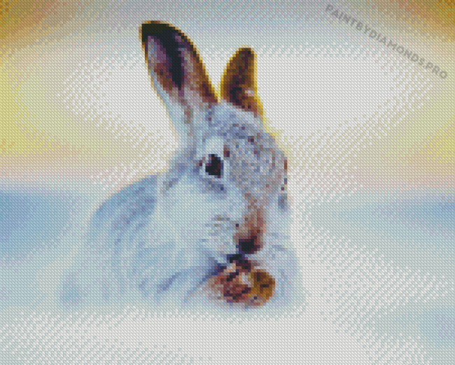 Winter Hare Diamond Paintings