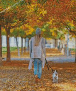 Woman Walking Dog Diamond Paintings