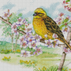 Yellow Hammer On Cherry Blossom Diamond Painting