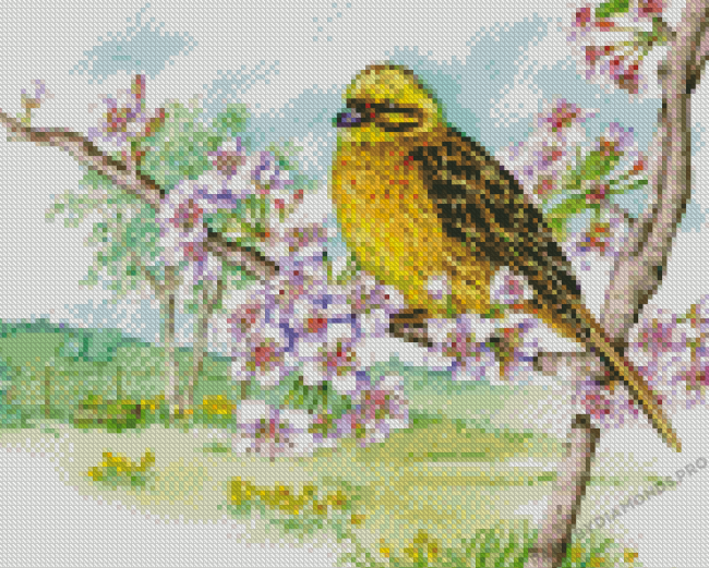 Yellow Hammer On Cherry Blossom Diamond Painting