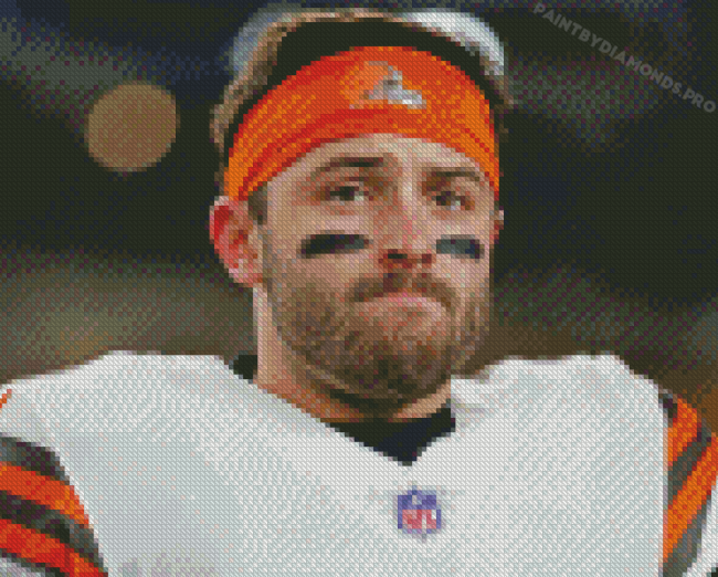 Aesthetic Baker Mayfield Diamond Paintings