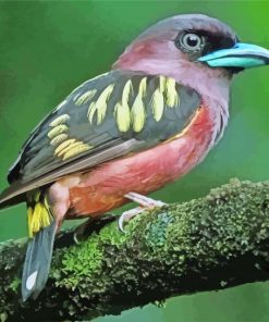 Aesthetic Eurylaimidae Bird Diamond Paintings