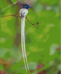 Aesthetic Indian Paradise Flycatcher Diamond Paintings