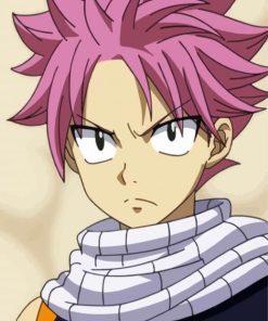 Aesthetic Natsu Dragneel Diamond Paintings