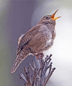 Aesthetic Wren Birds Diamond Paintings