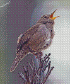 Aesthetic Wren Birds Diamond Paintings