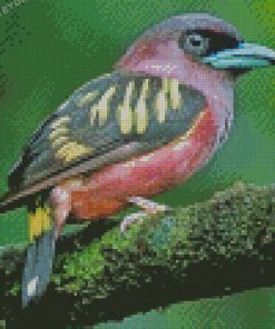 Aesthetic Eurylaimidae Bird Diamond Paintings