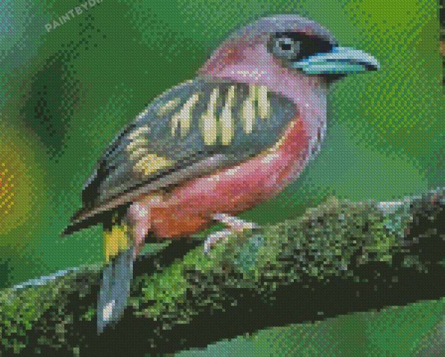 Aesthetic Eurylaimidae Bird Diamond Paintings