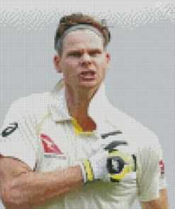 Aesthetic Steve Smith Diamond Painting