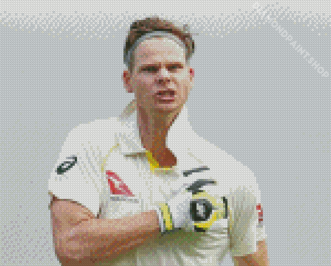 Aesthetic Steve Smith Diamond Painting