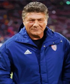 Aesthetic Walter Mazzarri Diamond Paintings