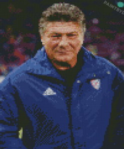 Aesthetic Walter Mazzarri Diamond Paintings