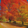 Autumn New England Diamond Paintings